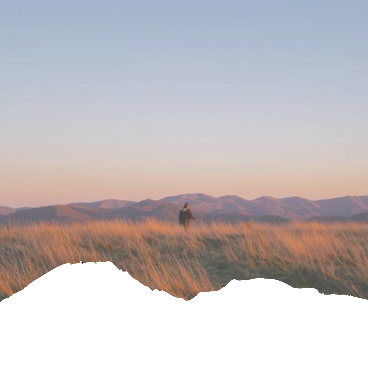 Bushveld Background 