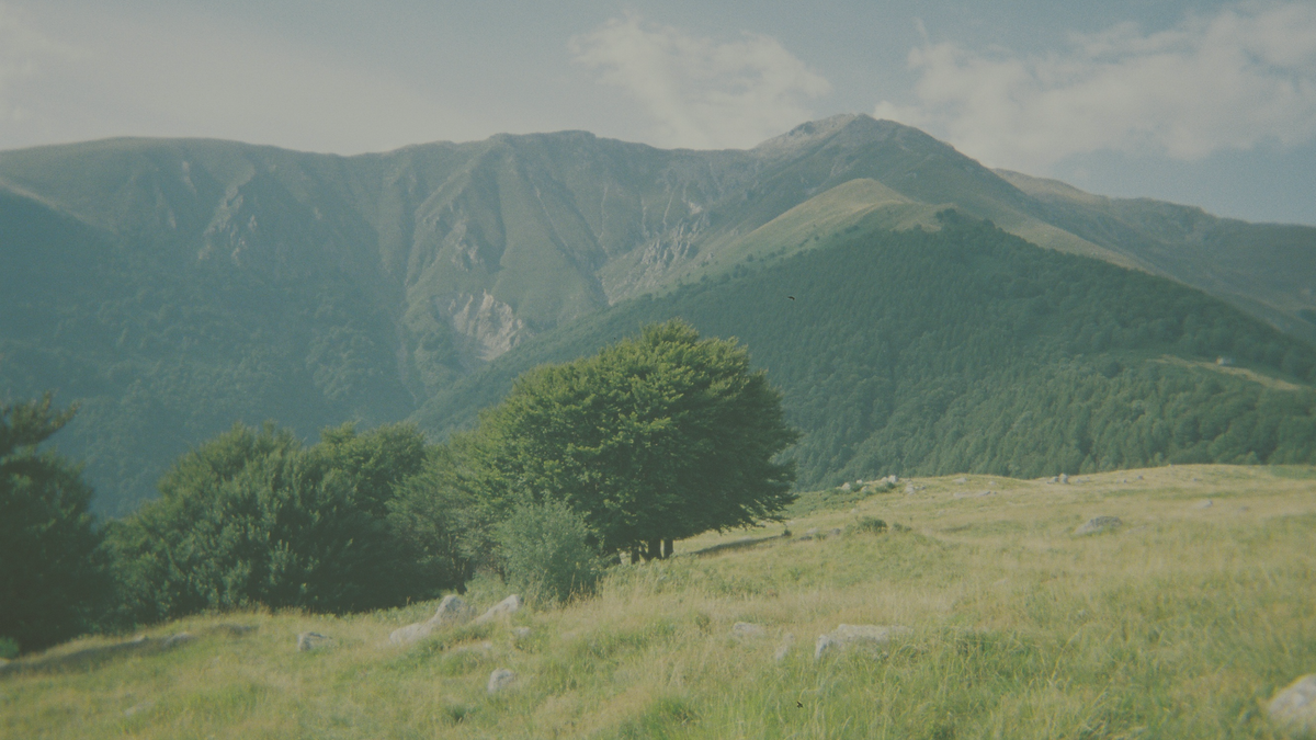Mountain Landscape in Hunting Region